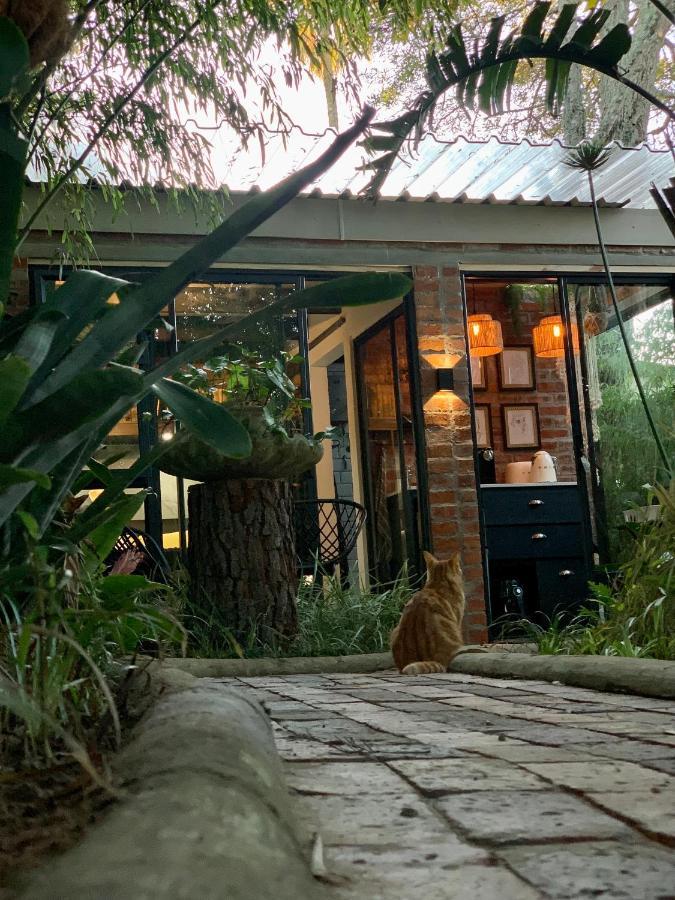 The Secret Garden Hideaway Apartment Мозел Бей Екстериор снимка